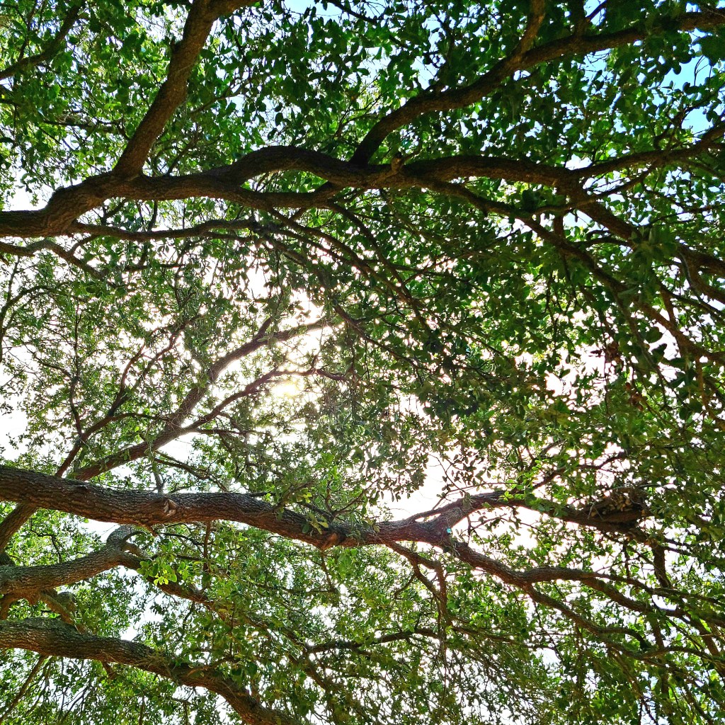 A Healthy Dose of Human&nbsp;Dignity