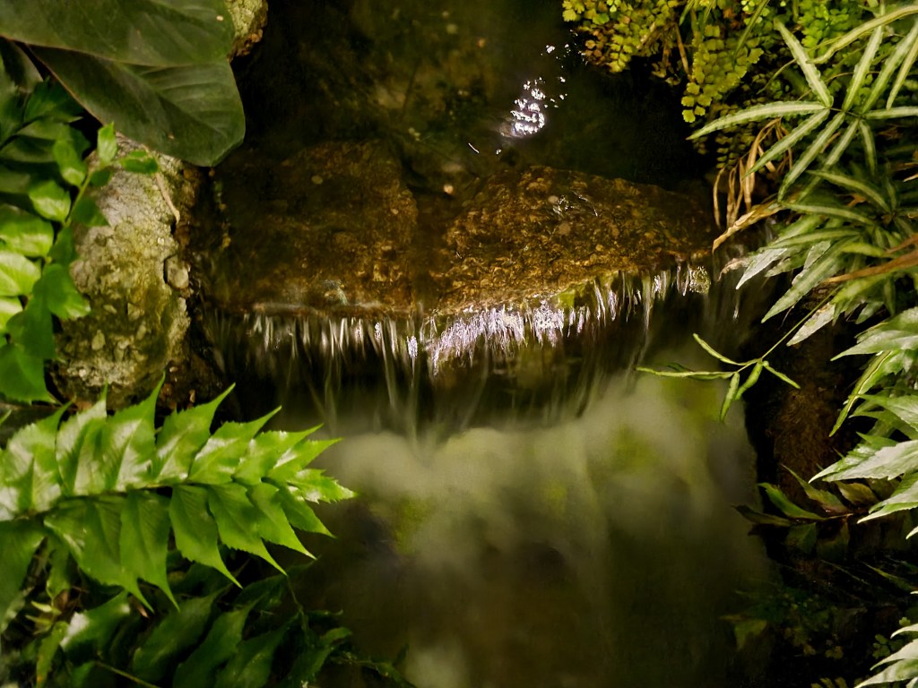 There Are Things in the&nbsp;Woods…