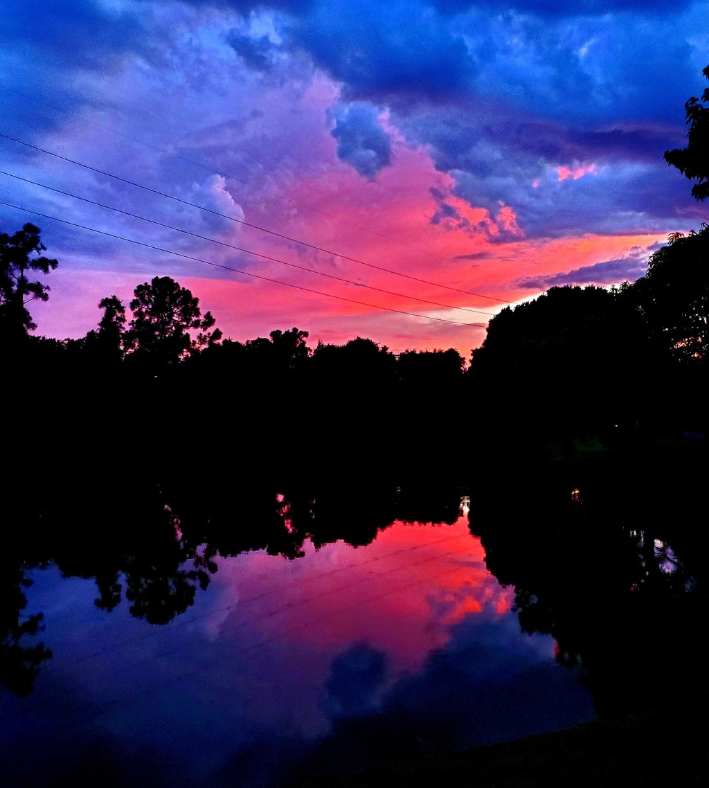 Mini Everyday Miracles – The Story of a&nbsp;Story